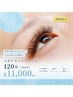 【夏限定】メガフラットラッシュ120束(360本)11000円 ※指名不可
