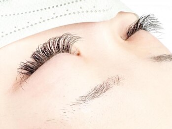 ユミ ニューヨーク ビューティー(Yumi NY Beauty)/フラットマットラッシュ