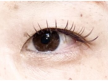 ソラネオリーブ 相模大野店(sola neolive)/【カラーフラット】140本