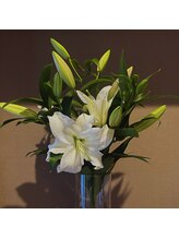 ルミエール(Lumieru)/Lumieru