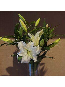 ルミエール(Lumieru)/Lumieru