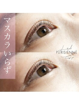 グラッディ(Glady)/パリジェンヌ