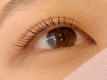 ルフリーク(Le Freak)/パリジェンヌラッシュリフト