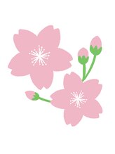 さくら 錦糸町パルコ店&nbsp;Matsumoto 