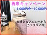 ☆再来 10,000円 キャンペーン☆ お好きなメニュー11,000円分をカスタマイズ
