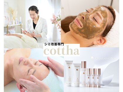 コトハ(cottha)の写真