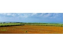 イラブスパラクサ(RAXAA)の雰囲気(伊良部の長浜の民家です。門横の月桃とよもぎとのぼりがお出迎え)