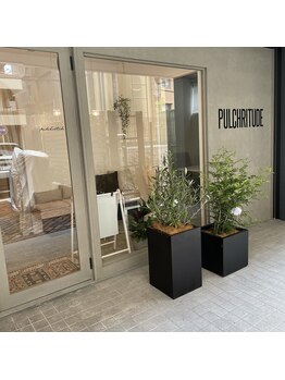 パルクリチュード(PULCHRITUDE)/店舗外観