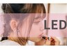 【何度でも使える】LED フラットラッシュ40本 ¥6,400