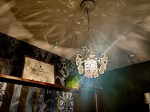 ディープグリーン(DeepGreen)/施術ルームの雰囲気