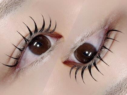 ノウェム(novem)の写真