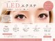 ライクミーアイラッシュ(Like me eyelash)の写真
