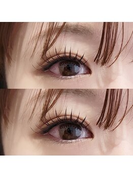 ハル(HAL)/フラットラッシュ 120本