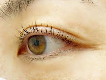 クレー(Klee)/パリジェンヌラッシュリフト