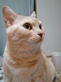 ユーミナリリー メリリー西船橋店(YuMina-Riry) 猫が大好きです！猫トークしましょう☆