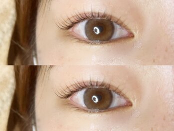 イイテ(iite)/パリジェンヌ