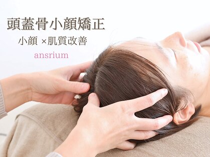 アンスリウム(ansrium)の写真