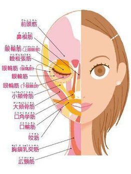 ラプリ 仙台店(Raplit stella)/お顔の筋肉