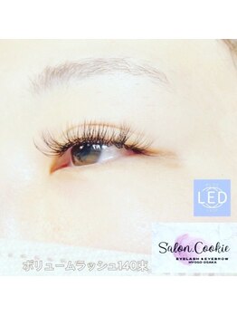 サロンドットクッキー 大阪九条(Salon.Cookie)/LED使用ボリュームラッシュ120束