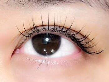 ラズル ダズル(RAZZLE DAZZLE)/セーブル×100本