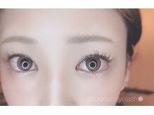 ルピナス(Lupinus)/フラットラッシュ 140本＊