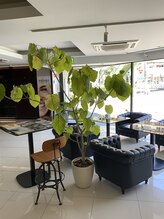 ビューティーエッセンス 都立大学(BEAUTY ESSENCE)/