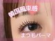 エース(Ace)の写真