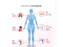 サロン ド ガーネット(Salon de Garnet)/バストアップにエラスチンは必須