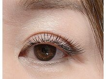 プライムステージ/デザインキープラッシュ80束