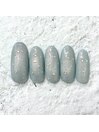 定額Aコース