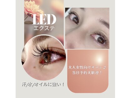 レディースアイ(LADY's eye)の写真