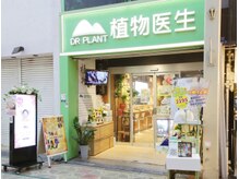ドクタープラント 本町店(DR PLANT)