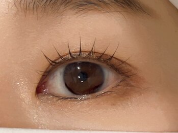 テラスヘア(TERRACE hair)/パリジェンヌラッシュリフト