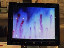 最終形美/わりと健康な毛細血管です。