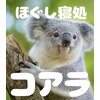 コアラのお店ロゴ