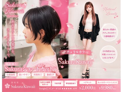 サクラカワイイ(sakura kawaii)の写真