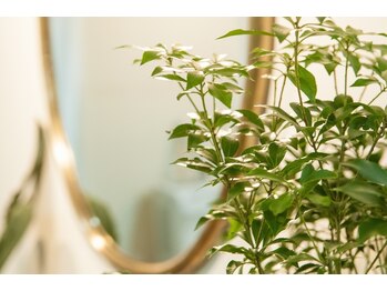 クリープ 麻布十番(QREEP)/