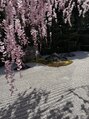 全力ストレッチ 錦糸町店&nbsp;京都の桜＊季節のお花見が大好きです。