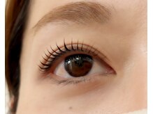 ペルシャ(Persian)/お客様デザイン【担当/RISA】