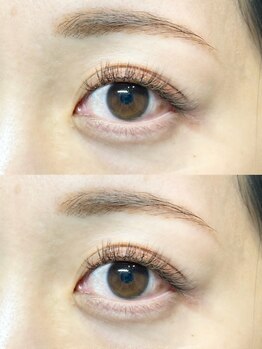 ラポール(Rapport)/大人気バイトロックカラー