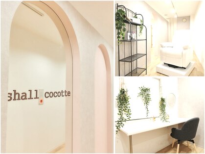 シャルコット(shall cocotte。)の写真