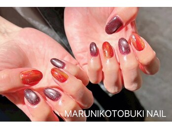 マルニ コトブキ(MARUNI KOTOBUKI)/シンプルコース