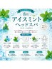 アイスミントヘッドスパ (スチーム付き）　80分　￥11500