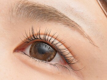 グラフィス(Graffice)/最高級セーブルSingle Lash♪