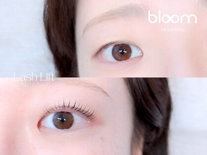 ブルーム(bloom)の写真