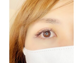 ルピナス(Lupinus)/LEDボリュームラッシュ200本