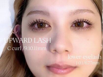 エシル(Ecil)の写真