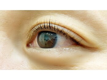 クレー(Klee)/パリジェンヌラッシュリフト