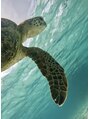 癒しの小鳥 奄美大島でシュノーケル