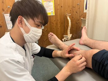 北島坂口鍼灸整骨院/身体の倦怠感ありませんか？